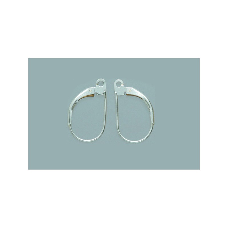 Ear Hook/Clip Findings (pair)