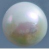 Japanese Akoya Cultured Pearl (Whole Drilled): 7-7.5?/1pc