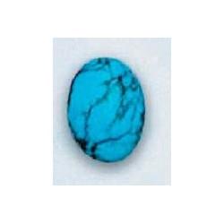 Natural Stone/Turquoise(1...