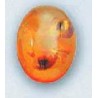 Natural Stone/Amber(1 pc) 10mm×14mm